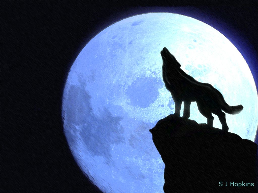 Download Wolf And Moon Wallpapers Hd Backgrounds Download Itl Cat Download Wolf And Moon Wallpapers Hd Backgrounds Download Itl Cat