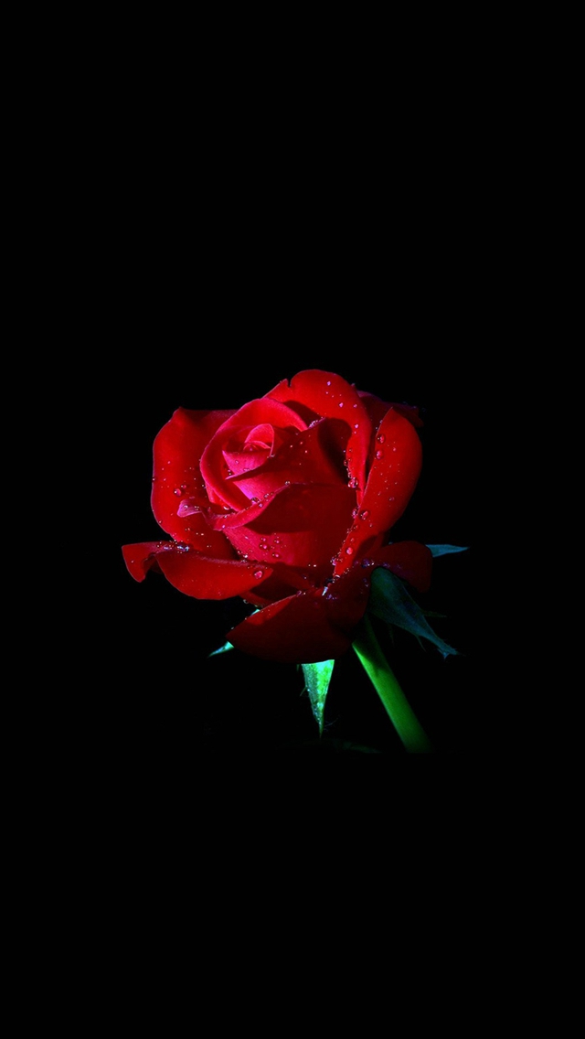 Girly Wallpapers Dark