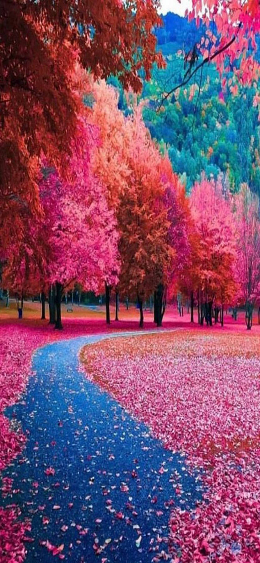 Featured image of post Www.hd Background Images Download.com : 400+ vectors, stock photos & psd files.