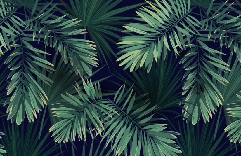 Tropical Plants Desktop Wallpaper Itl.cat collects 126 hd aesthetic desktop wallpapers & backgrounds. tropical plants desktop wallpaper