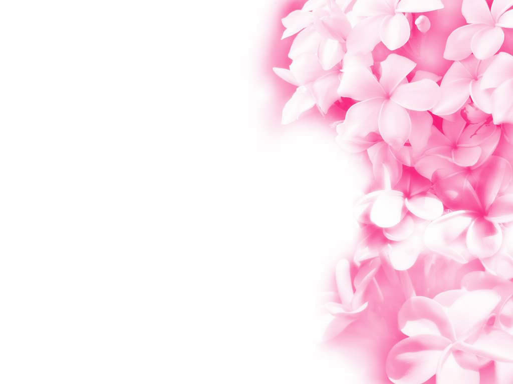 Download Pink Flower Desktop Wallpapers Hd Backgrounds