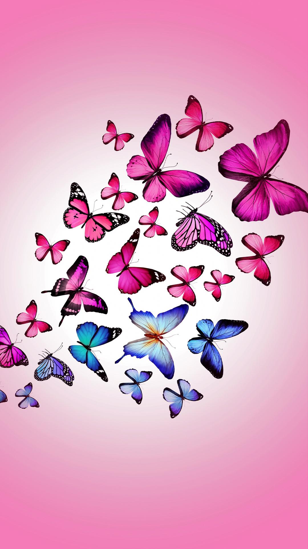 Download Pink Butterflies Wallpaper, HD Backgrounds Download