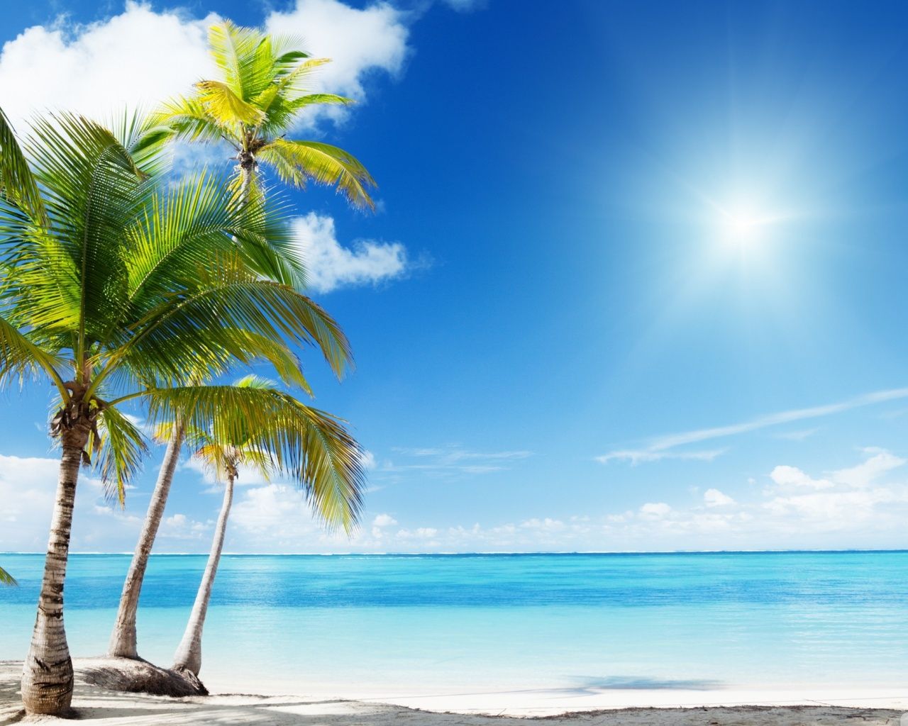 Download Tropical Beach Wallpaper Hd Backgrounds Download Itl Cat - beach background roblox