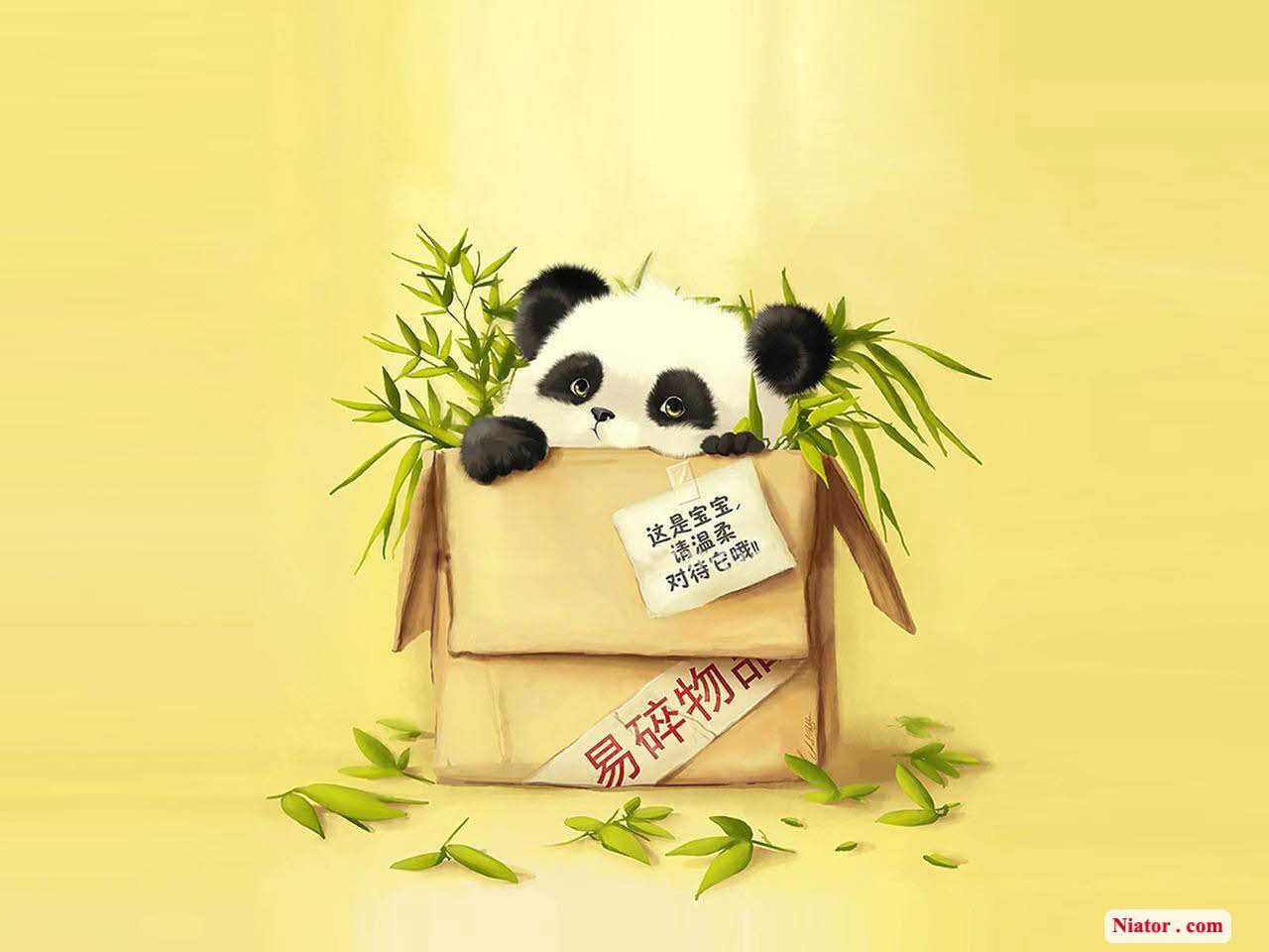Paling Keren 21+ Gambar Wallpaper Panda - Richa Wallpaper
