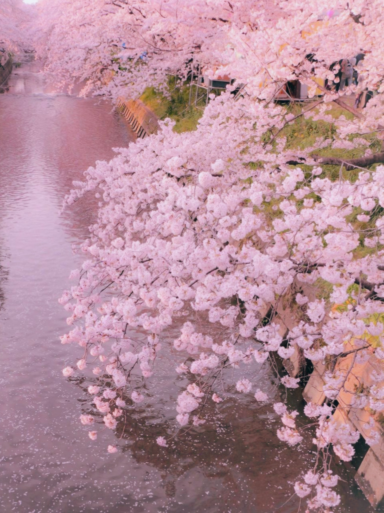 Download Pink Aesthetic Wallpaper, HD Backgrounds Download - itl.cat