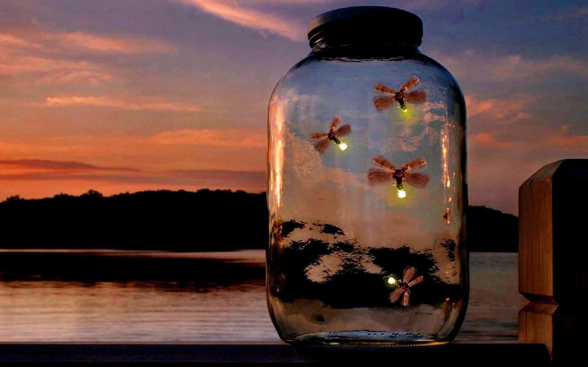 Download Fireflies In A Jar Wallpaper Hd Backgrounds Download Itl Cat - firefly jar roblox