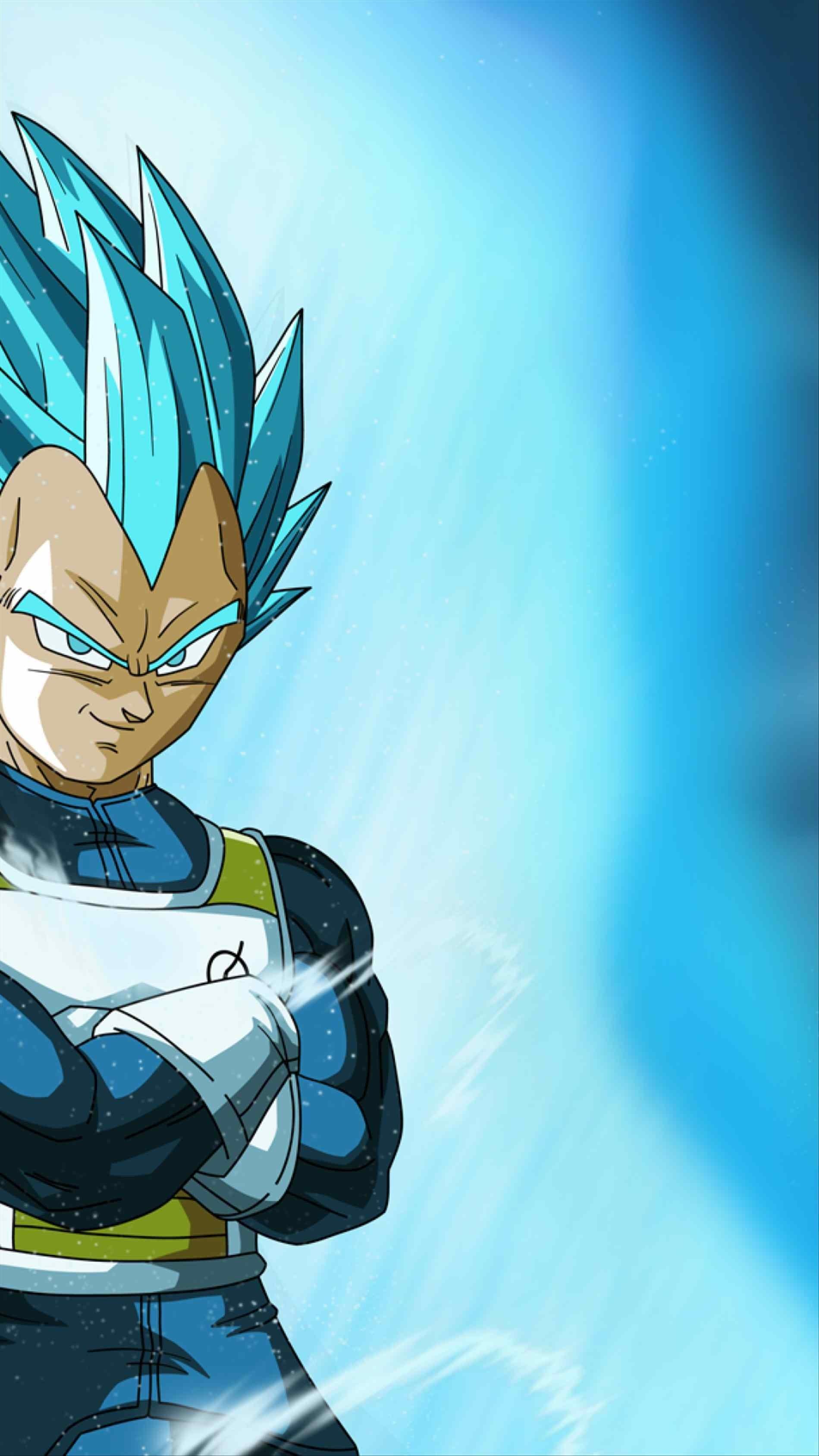 vegeta saiyan ssgss ssg bacanas
