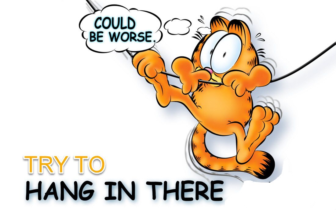 Hang In There Cat Meme