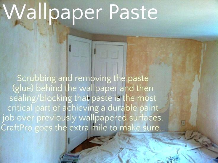 Download Can You Paint Over Wallpaper Border Hd Backgrounds Download Can You Paint Over Wallpaper Border Hd Backgrounds