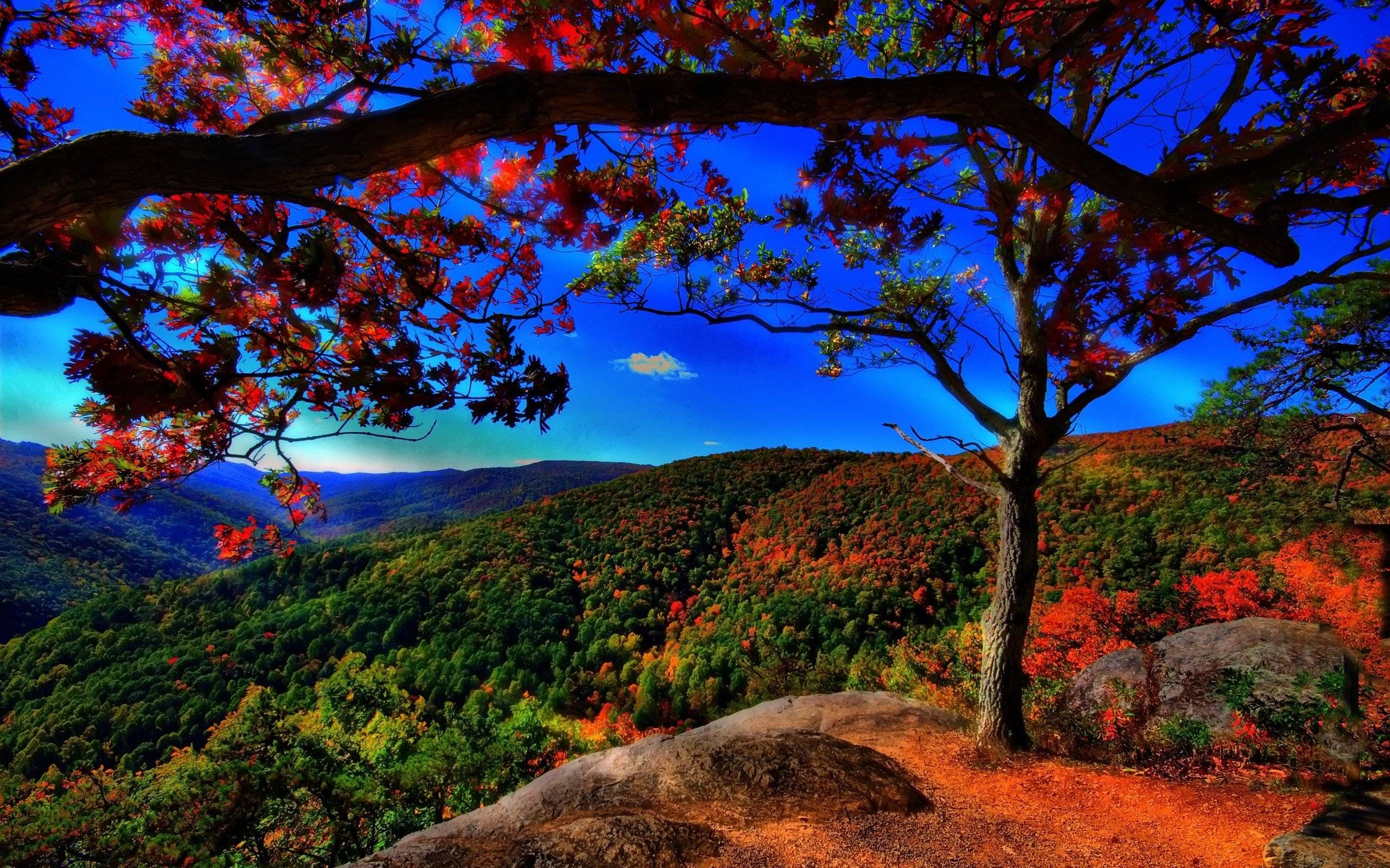 Free Wallpaper Pictures Full Hd Scenery 1256 Hd Wallpaper