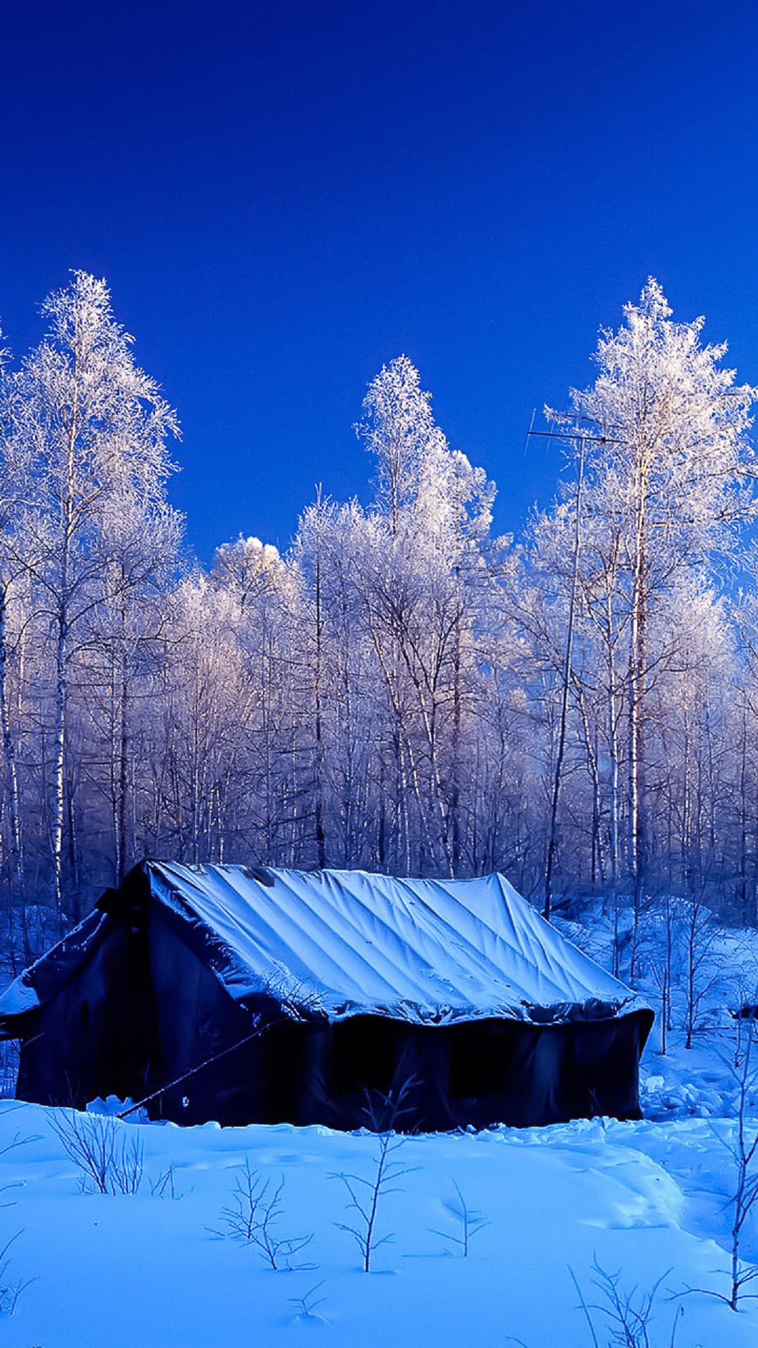 Snow Forest Tent Winter Nature Android Wallpaper - Android Wallpaper Nature , HD Wallpaper & Backgrounds