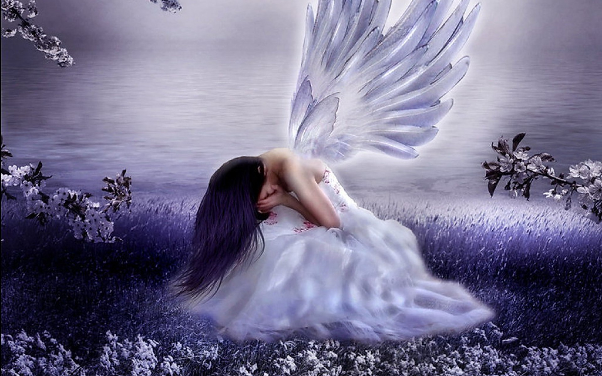 Sad Angel Purple Wallpapers And Stock Photos - Sad Angel , HD Wallpaper & Backgrounds