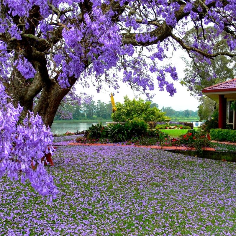 10 New Beautiful Nature Wallpaper Spring Full Hd 1080p - Hd Beautiful Nature , HD Wallpaper & Backgrounds