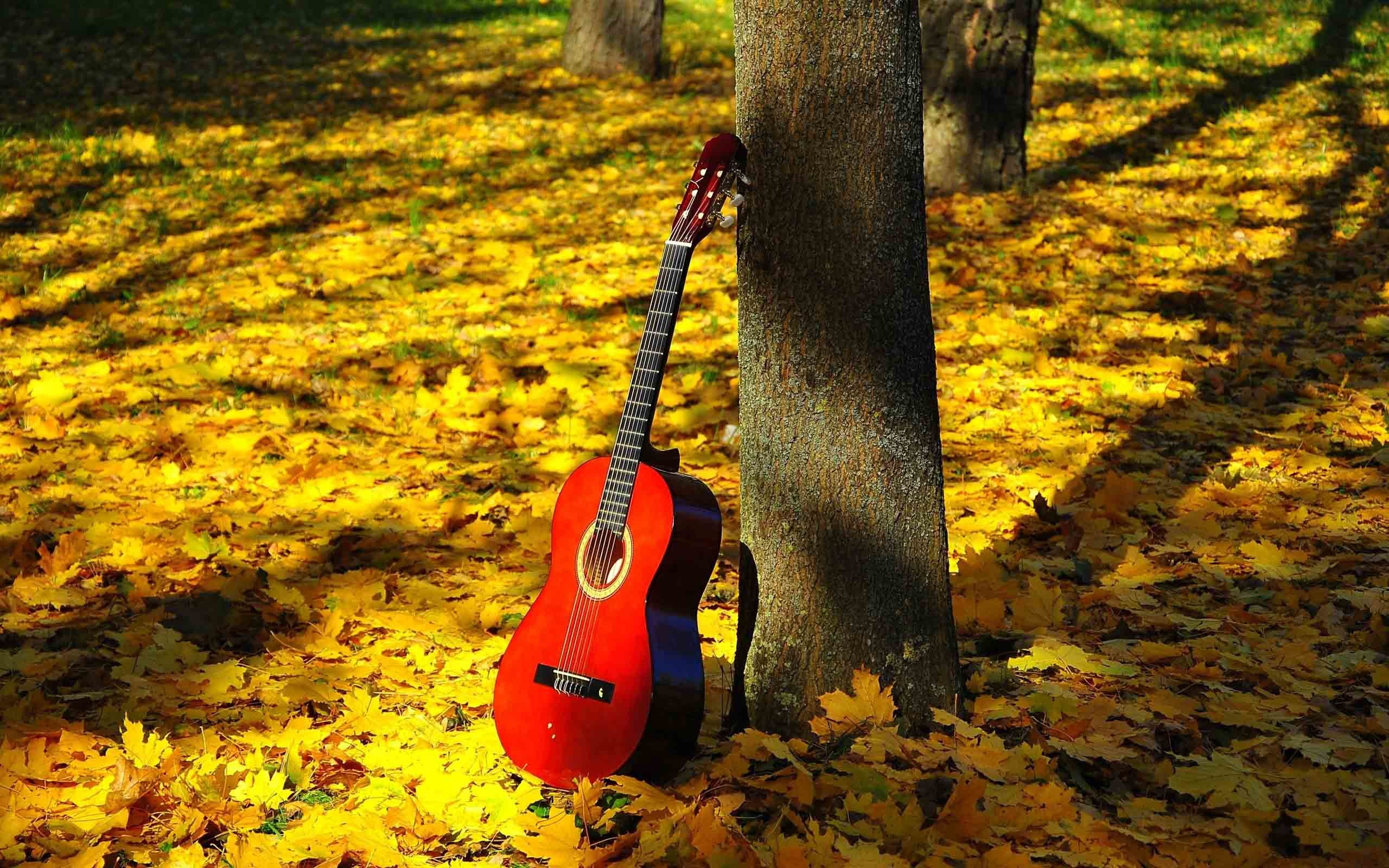 Guitar With Nature Background , HD Wallpaper & Backgrounds
