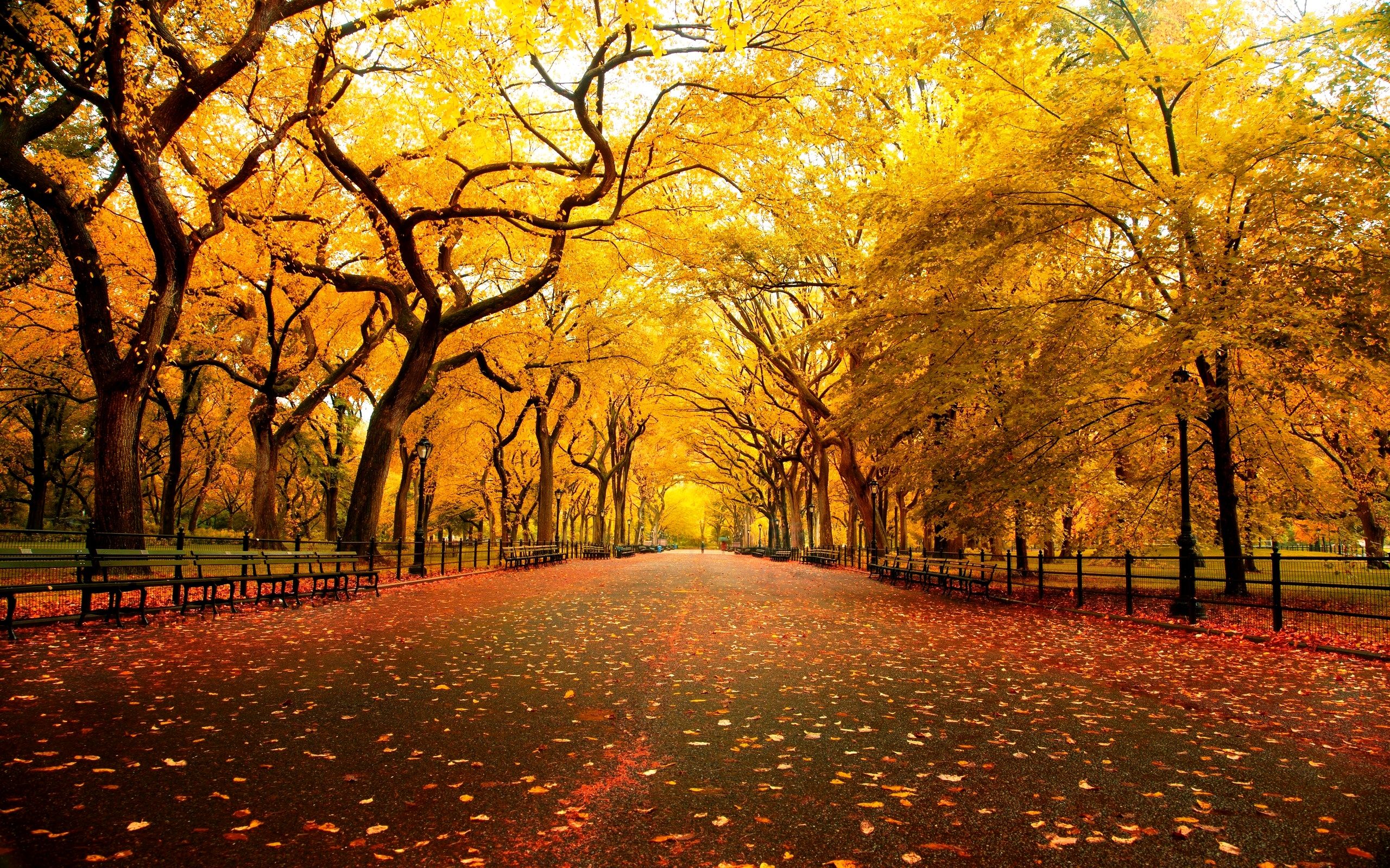 Hd Wallpaper Download Page Full Size Background Image Hd 3518