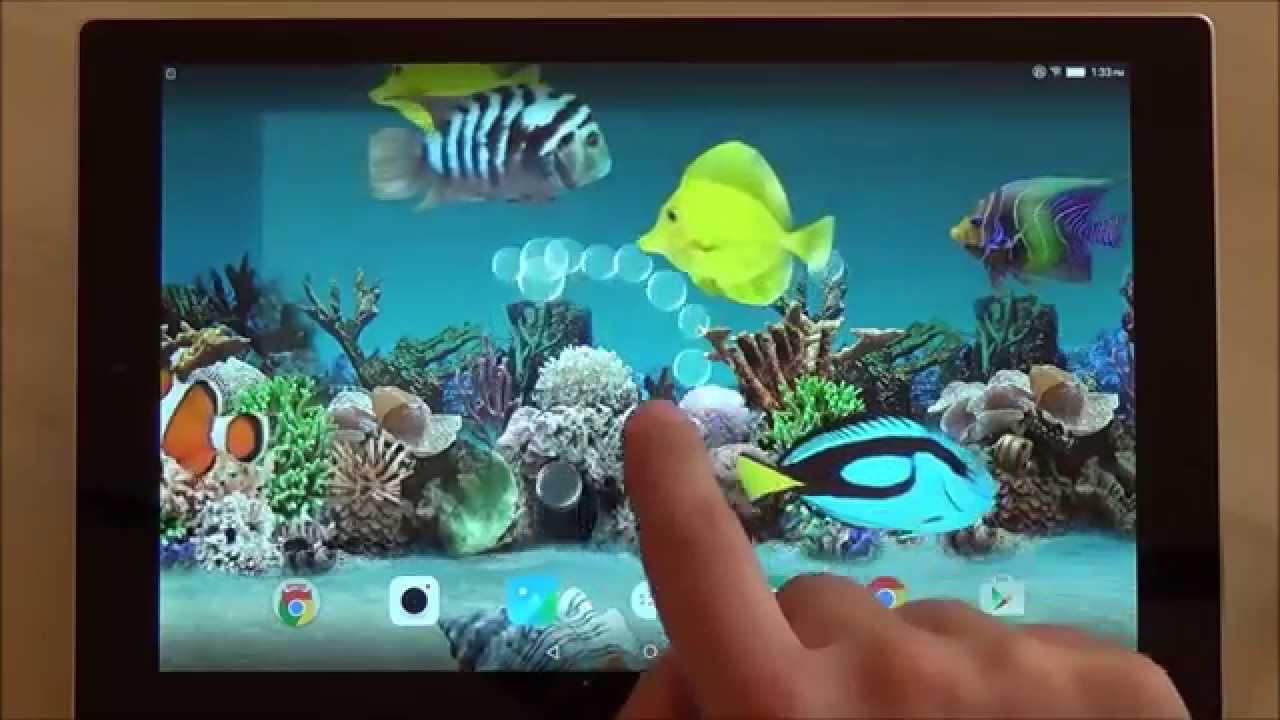 Live Wallpaper Of Fish Tank Yqr5jgodievqe1g - Coral Reef , HD Wallpaper & Backgrounds