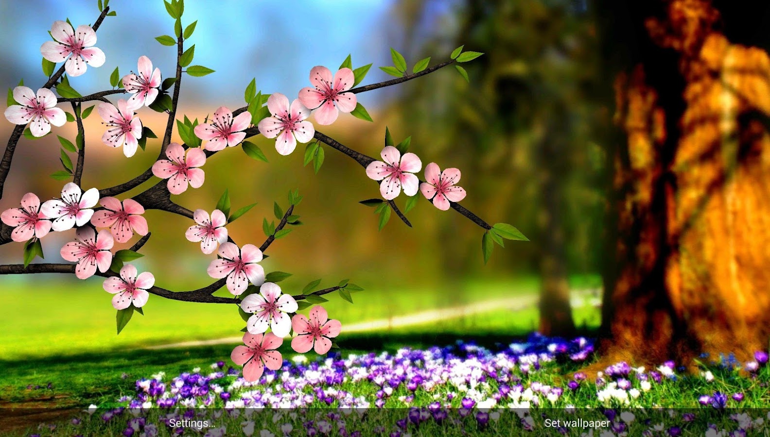 Live - Full Hd Flower 3d , HD Wallpaper & Backgrounds