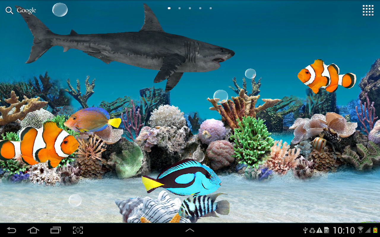 Live Aquarium Wallpaper With Sound - 3d Wallpaper Fish Aquarium , HD Wallpaper & Backgrounds