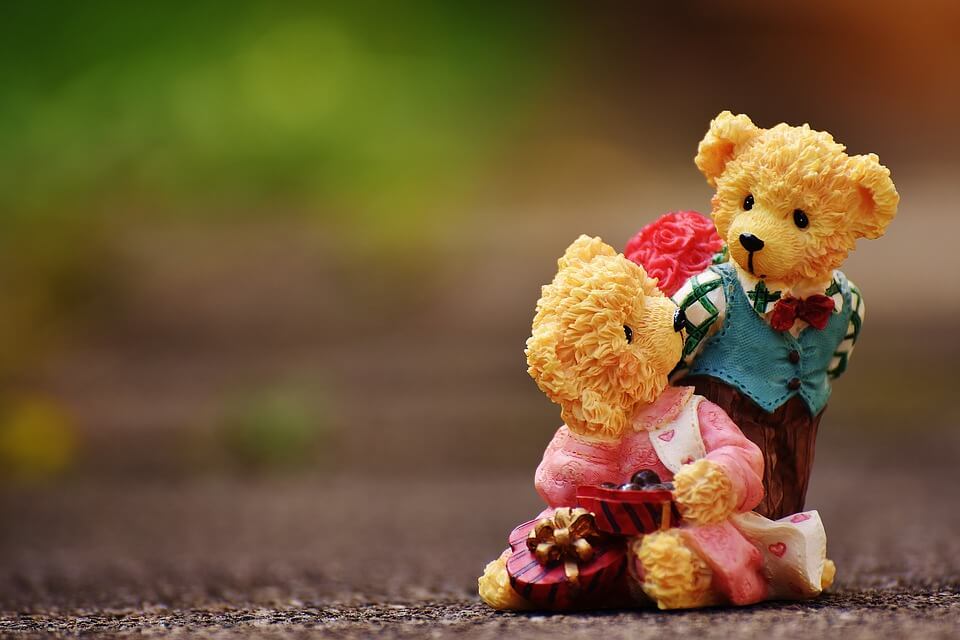 cute teddy bear whatsapp dp