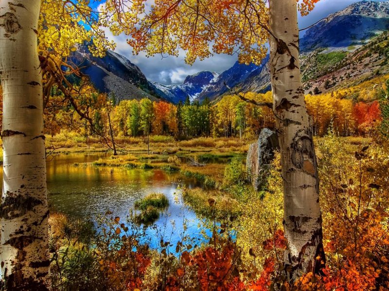 Amazing Nature Fall Hd Wallpaper Download - Fall Mountains , HD Wallpaper & Backgrounds