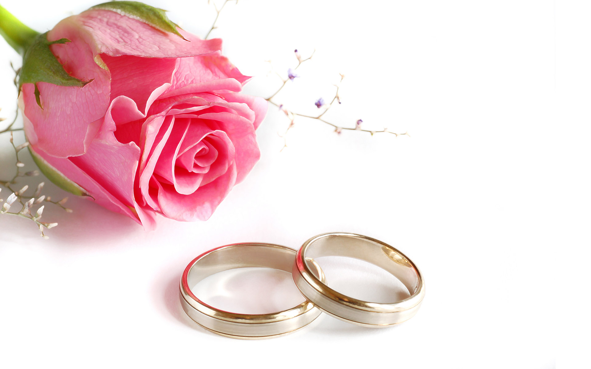 Hd Love Wallpapers - Wedding Ring And Flower , HD Wallpaper & Backgrounds