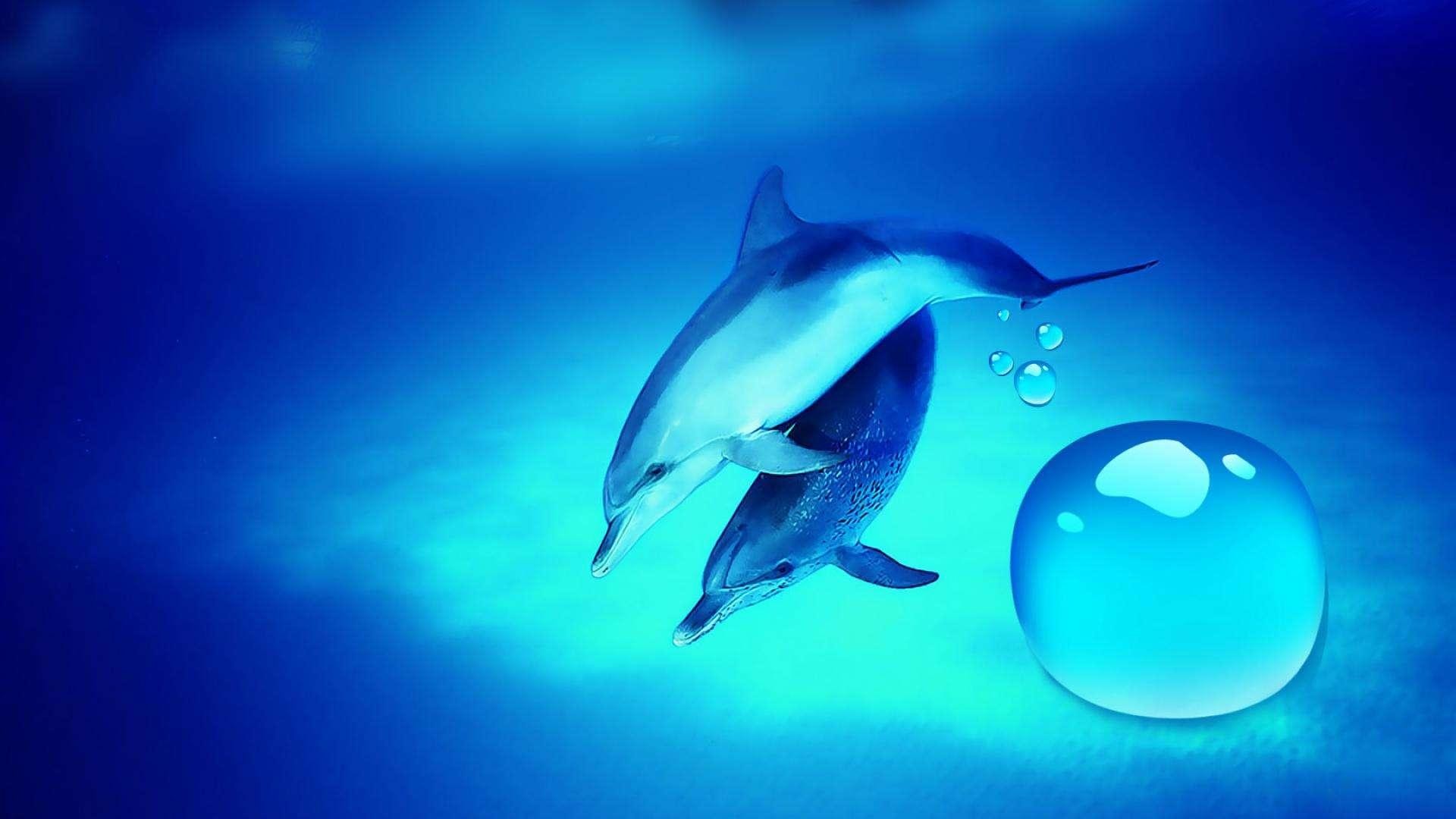 Wallpapers Px Live Hd Wallpaper Live 3d Wallpaper Live - Long Beaked Common Dolphins Endangered , HD Wallpaper & Backgrounds