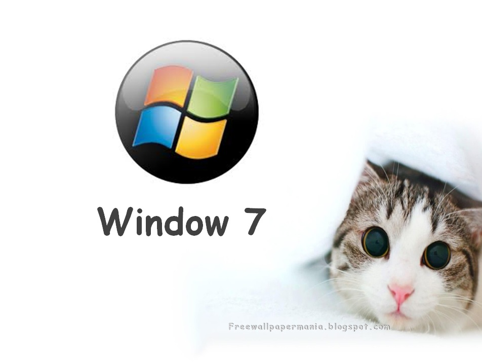 3d Live Wallpapers For Windows 7 Free Download - Cat Peek A Boo , HD Wallpaper & Backgrounds