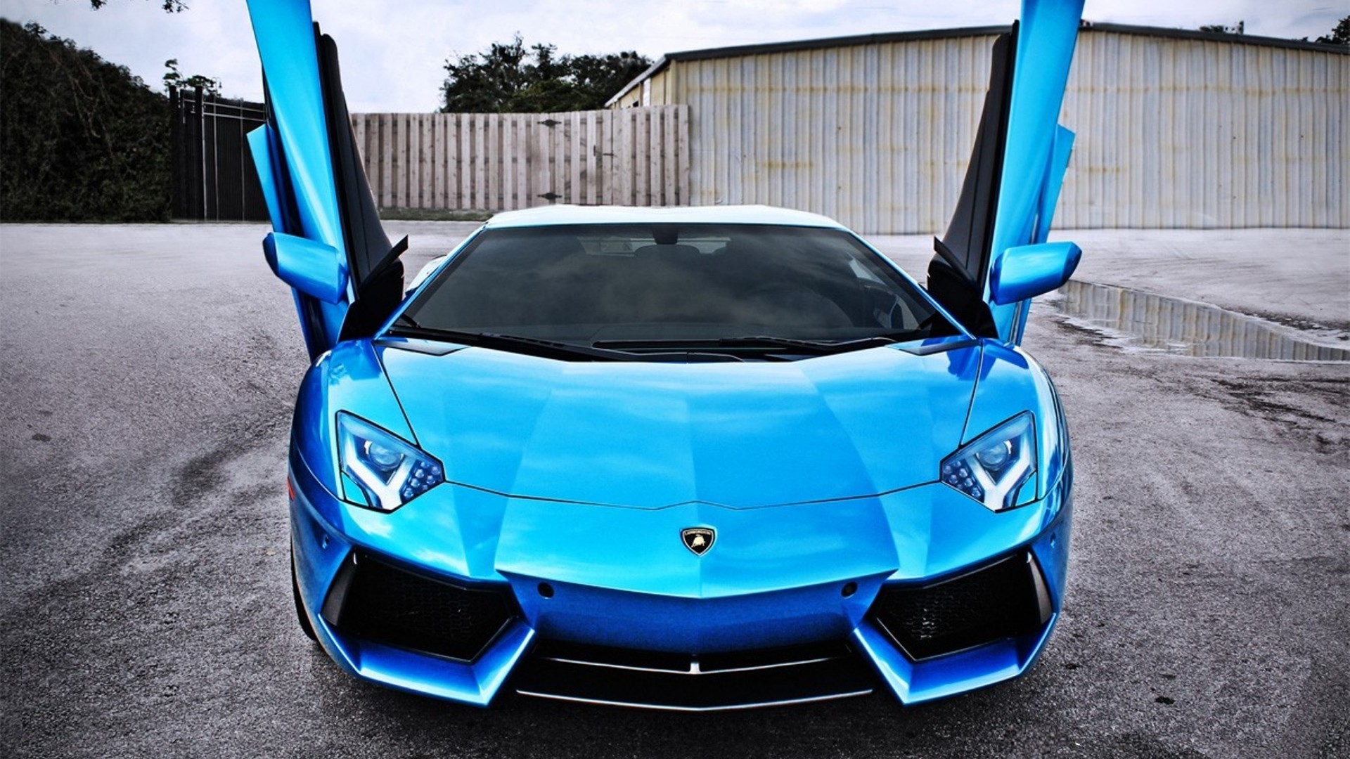 Blue Lamborghini Aventador - Azure Blue Lamborghini Aventador , HD Wallpaper & Backgrounds