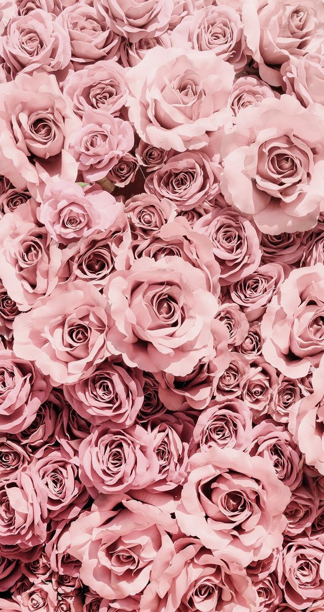 Best Wallpaper Backgrounds 2019 - Rose Gold Aesthetic Iphone , HD Wallpaper & Backgrounds