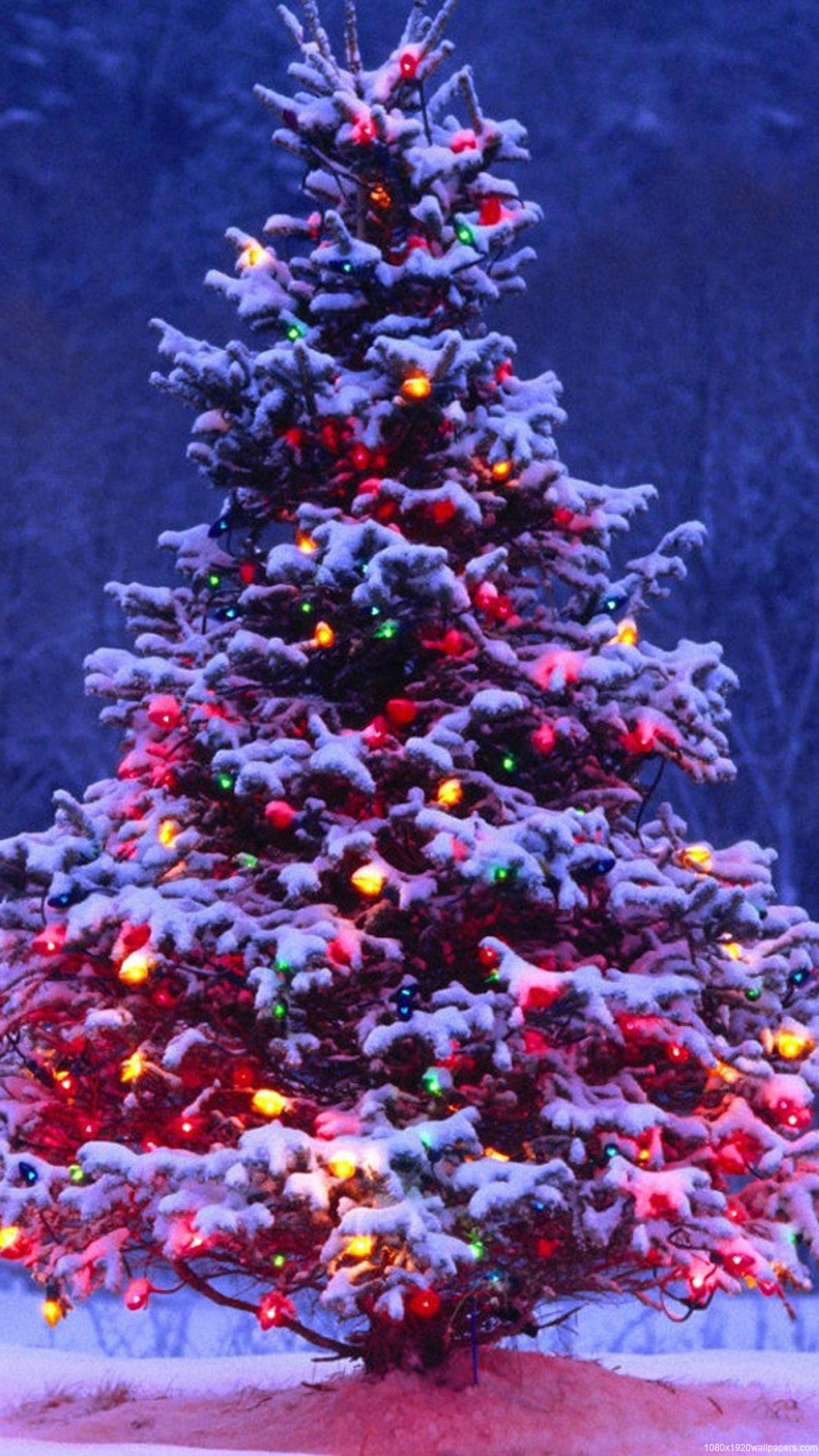 Christmas Tree Wallpaper Hd - Christmas Tree Backgrounds For Iphone , HD Wallpaper & Backgrounds