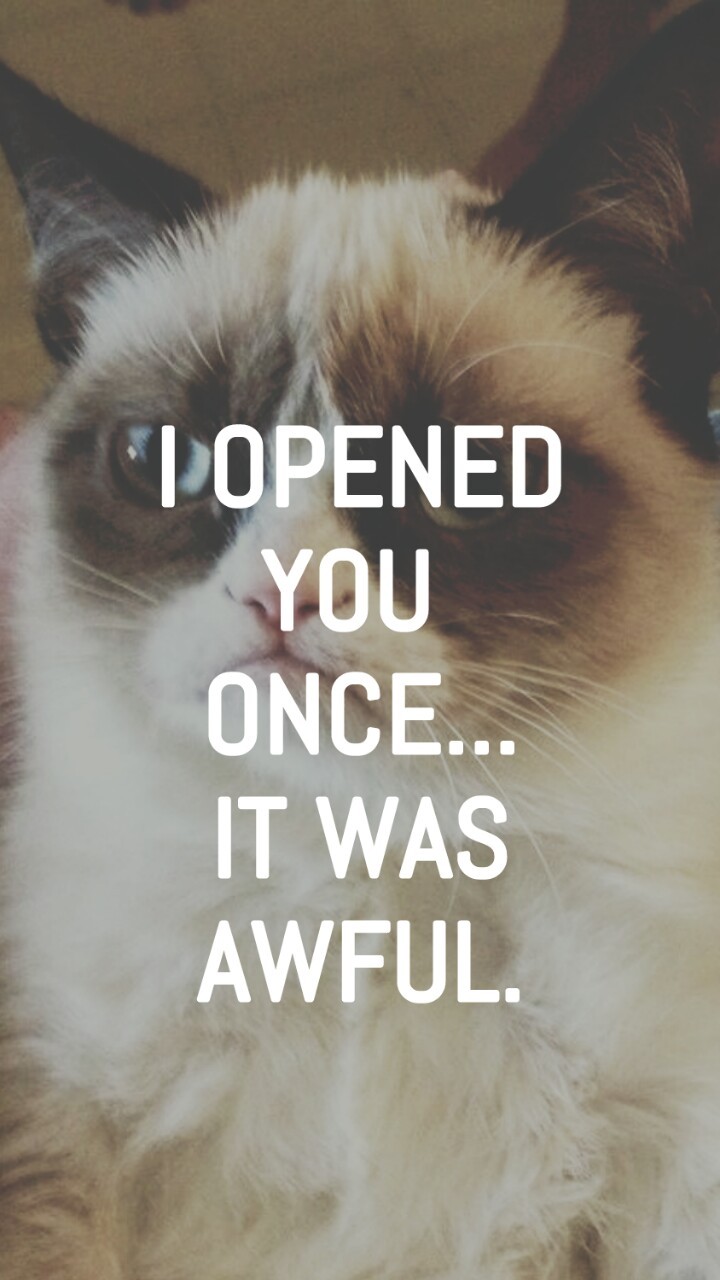 Lol Funny Wallpaper Backgrounds Funny Quotes Background - Background For Iphone Cat , HD Wallpaper & Backgrounds