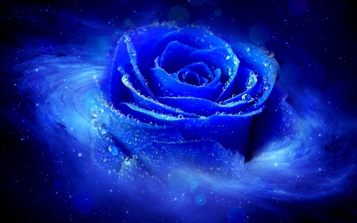 Hd Cool 3d Blue Rose Desktop Wallpapers Backgrounds - Cool Blue Rose Backgrounds , HD Wallpaper & Backgrounds