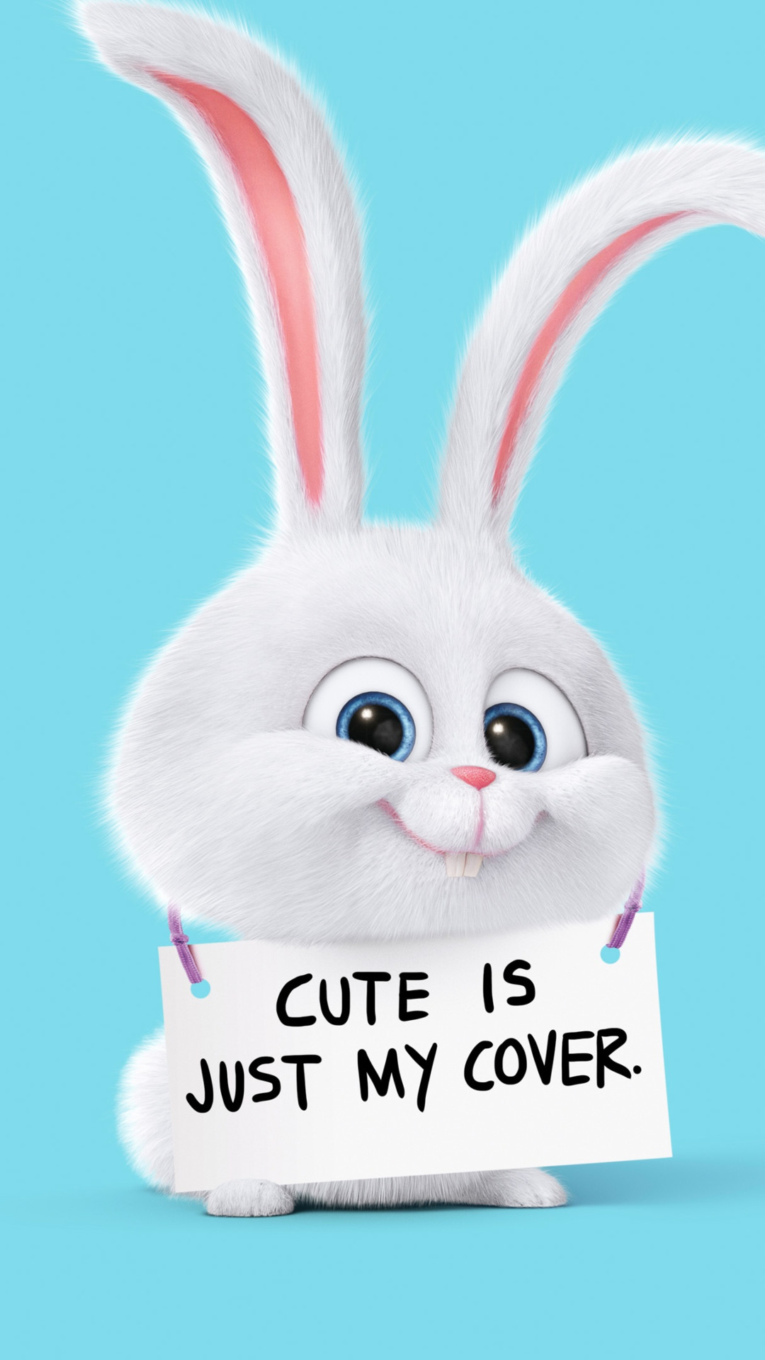 Cute Is Just My Cover Rabbit Android Wallpaper - Cute Is Just My Cover , HD Wallpaper & Backgrounds