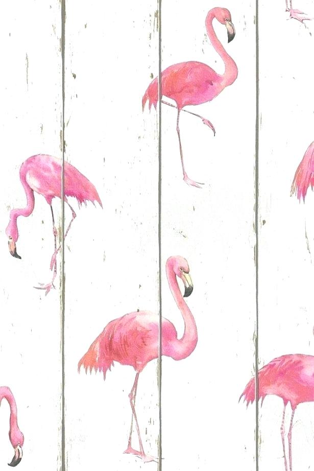 Waterproof - Flamingo Hd Duvar Kağıtları , HD Wallpaper & Backgrounds
