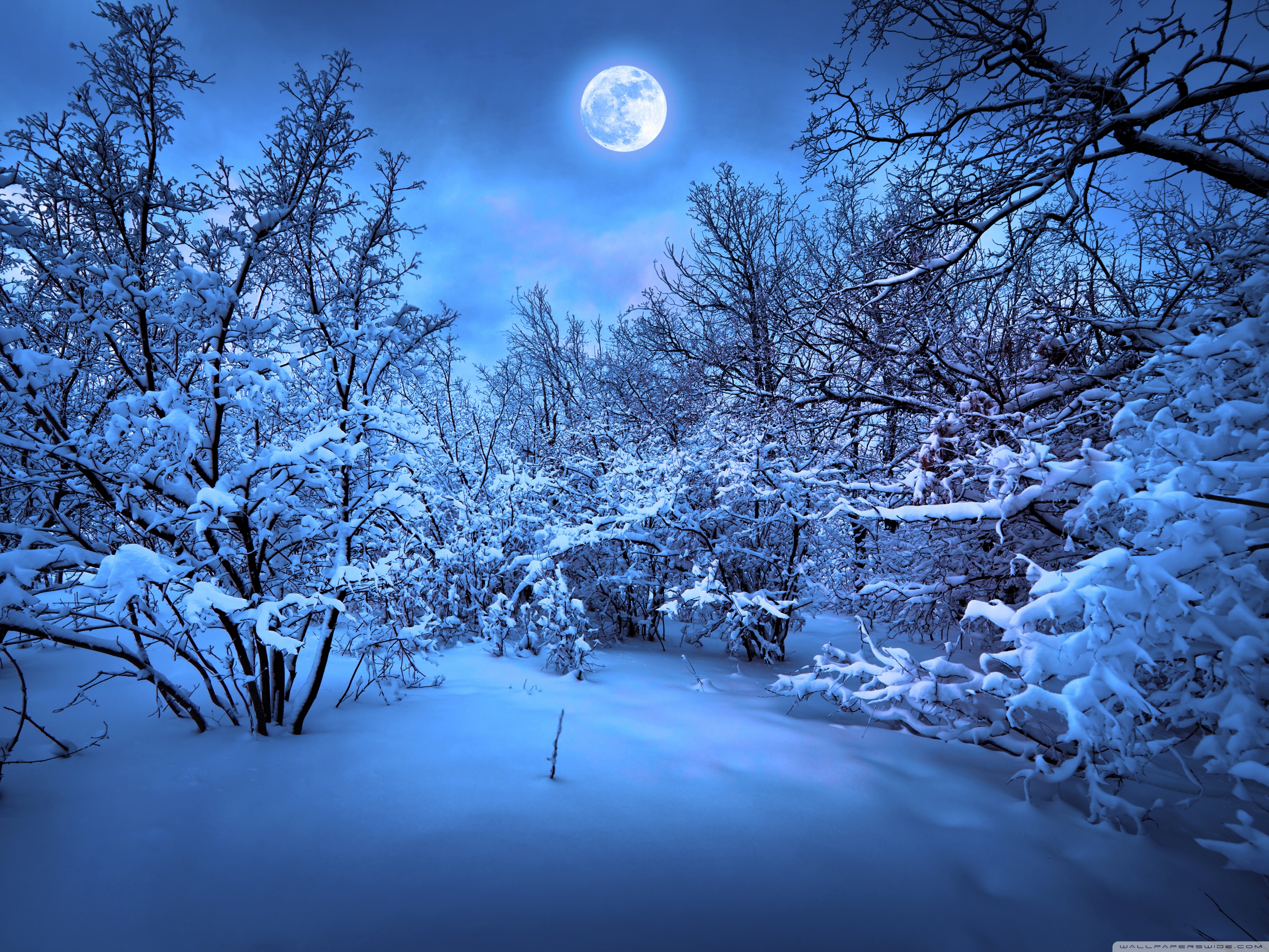 4k Snow Night , HD Wallpaper & Backgrounds