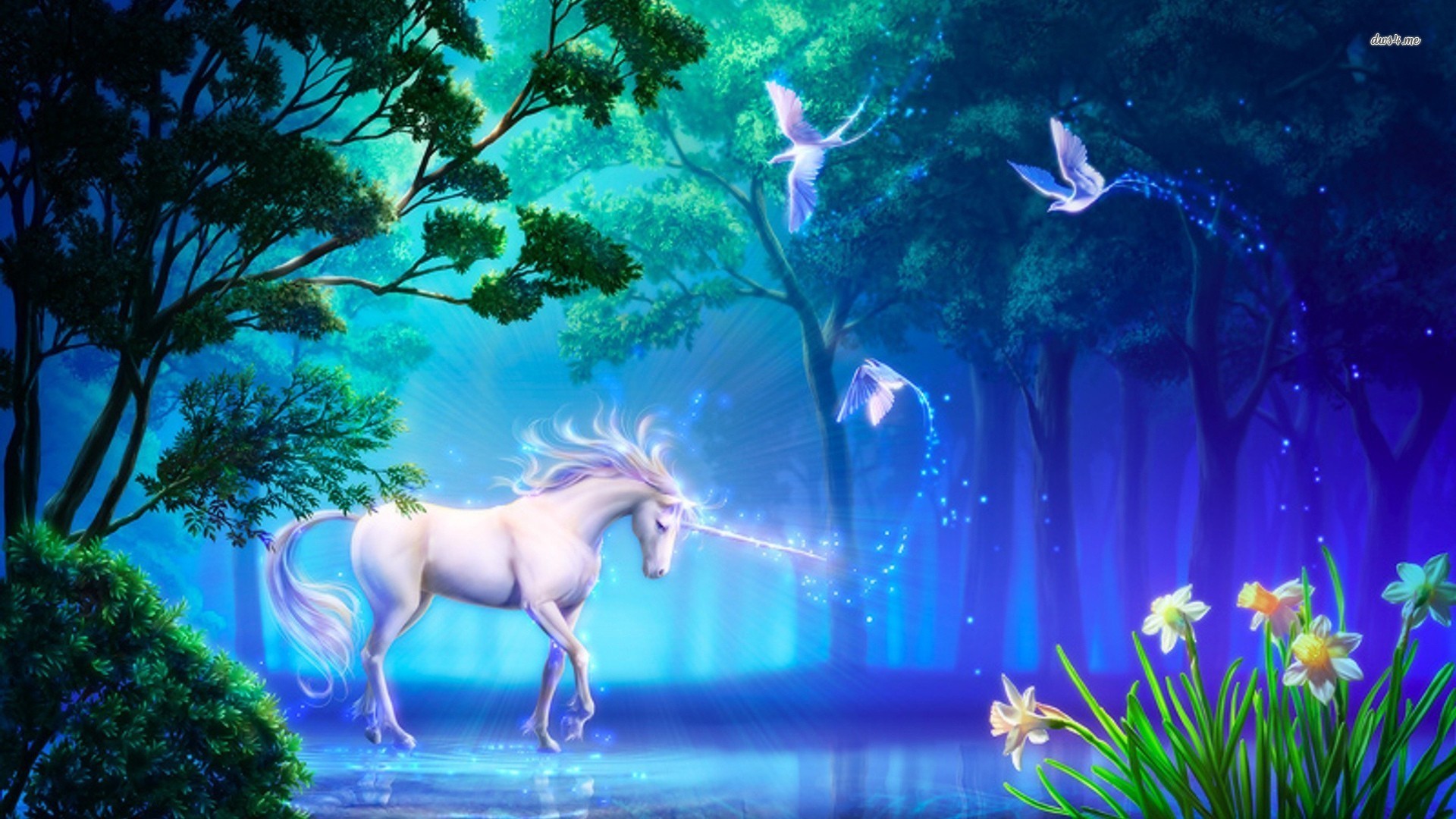 Unicorn Wallpaper Hd , HD Wallpaper & Backgrounds