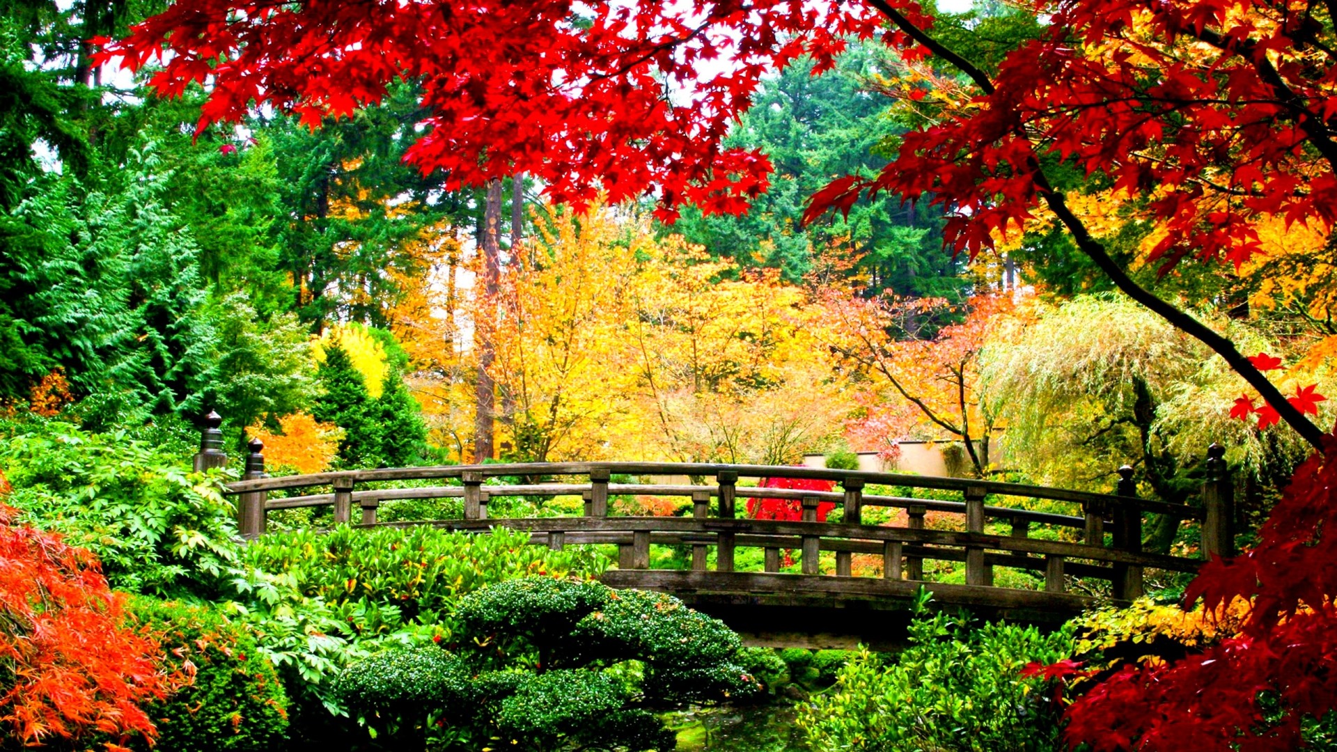 Beautiful Wallpapers In The World - Japanese Bridge In Autumn , HD Wallpaper & Backgrounds