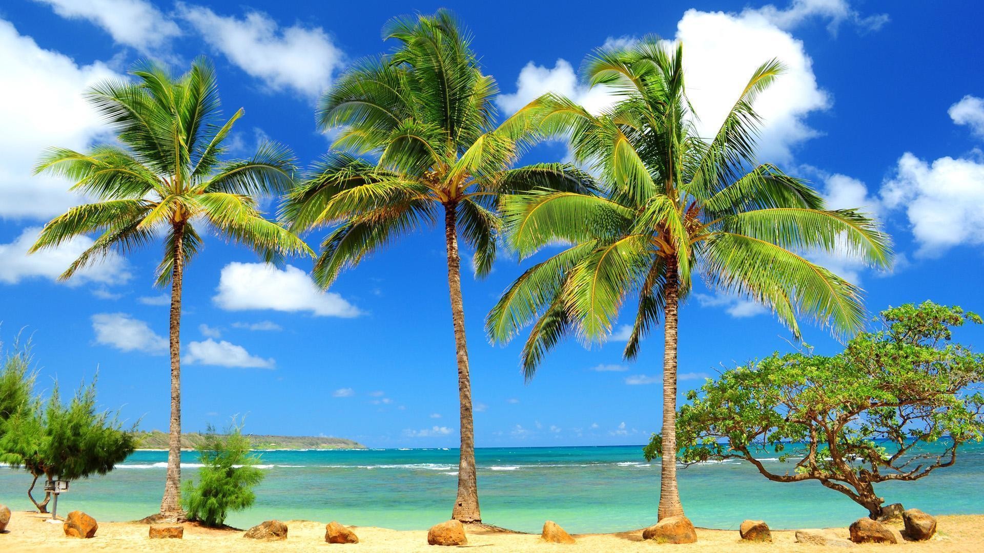 Caribbean Beach Wallpapers Free - Caribbean Beaches Wallpaper Desktop , HD Wallpaper & Backgrounds