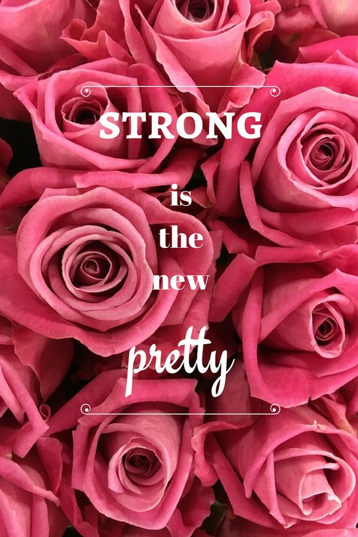 Quotes Pink Roses Wallpaper Iphone - Rose Wallpaper With Quotes , HD Wallpaper & Backgrounds