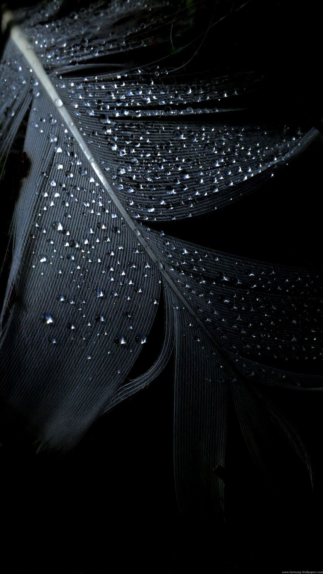 Iphone 6 Hd Wallpapers Black 9582 Hd Wallpaper Backgrounds