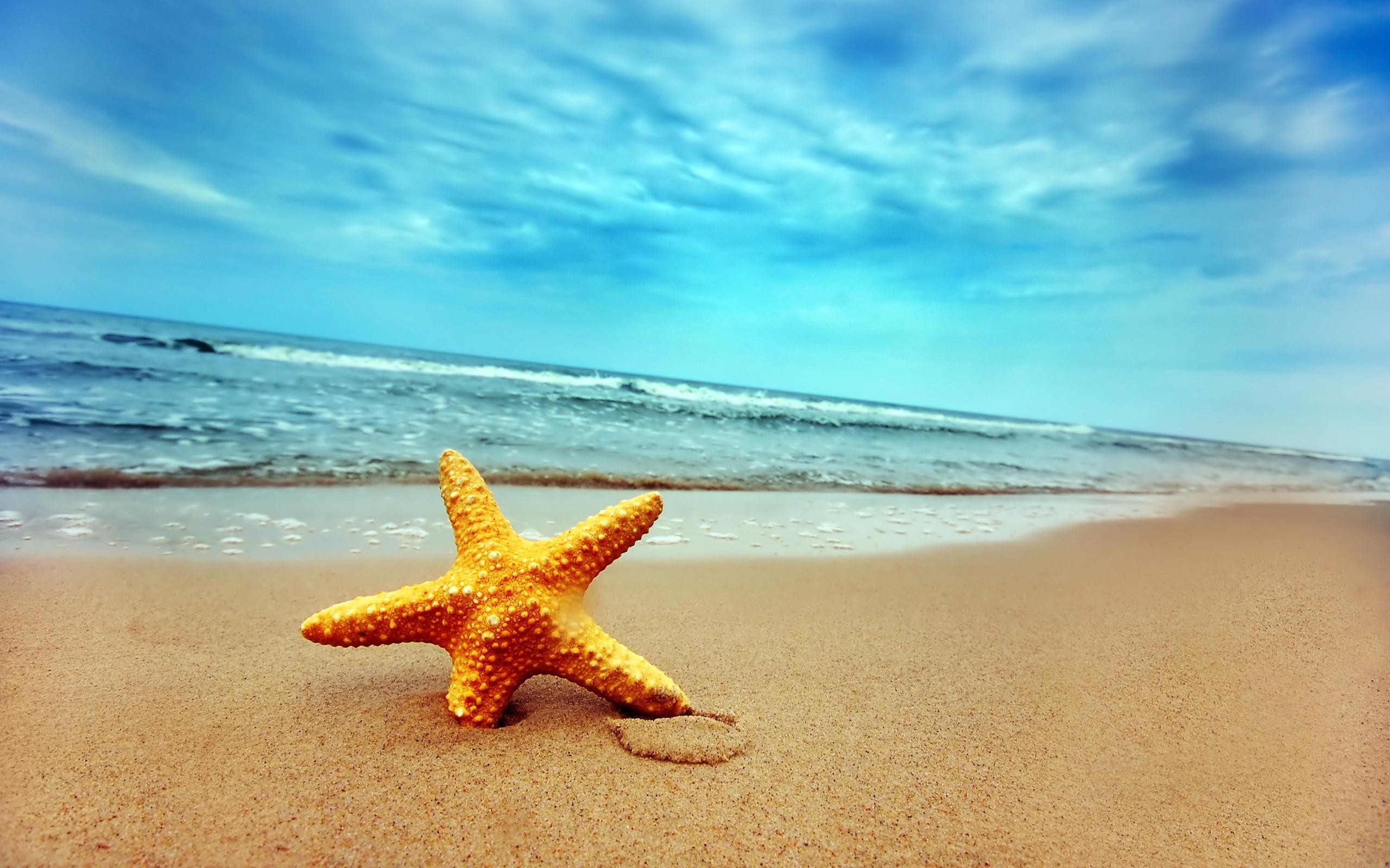 Star - Beach Desktop Backgrounds , HD Wallpaper & Backgrounds