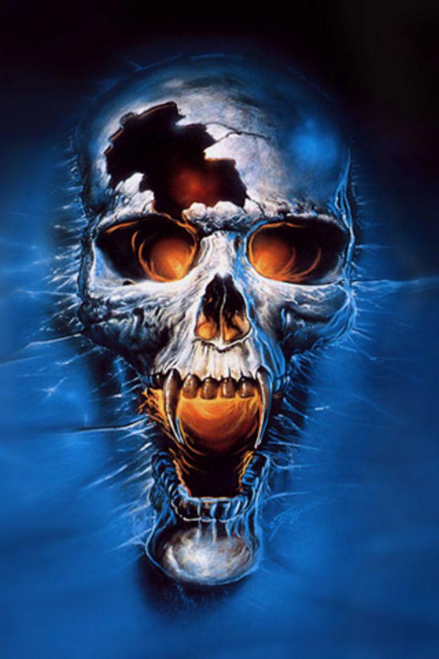Best Wallpapers For Phone - Ghost Rider Skull Hd , HD Wallpaper & Backgrounds