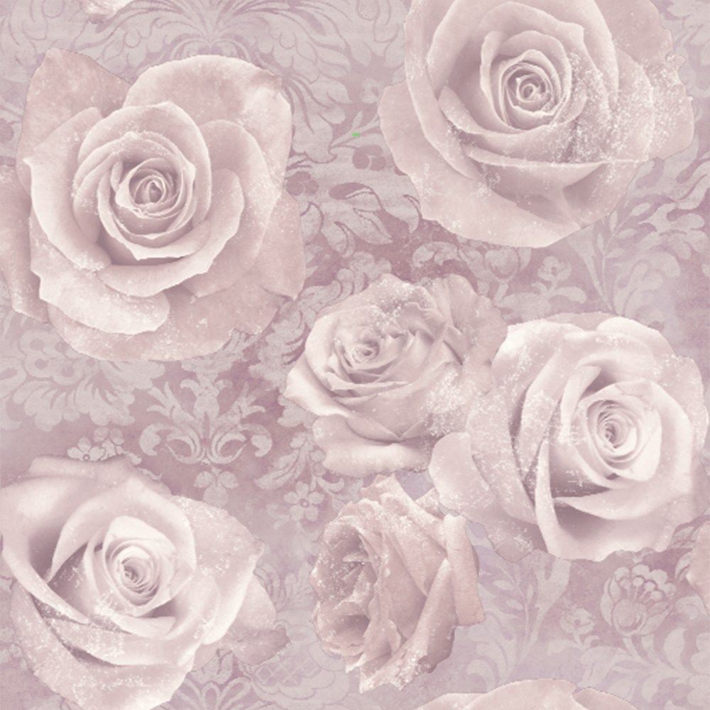 Details About Reverie Rose Wallpaper Blush Pink - Beautiful Hot Pink Flowers , HD Wallpaper & Backgrounds
