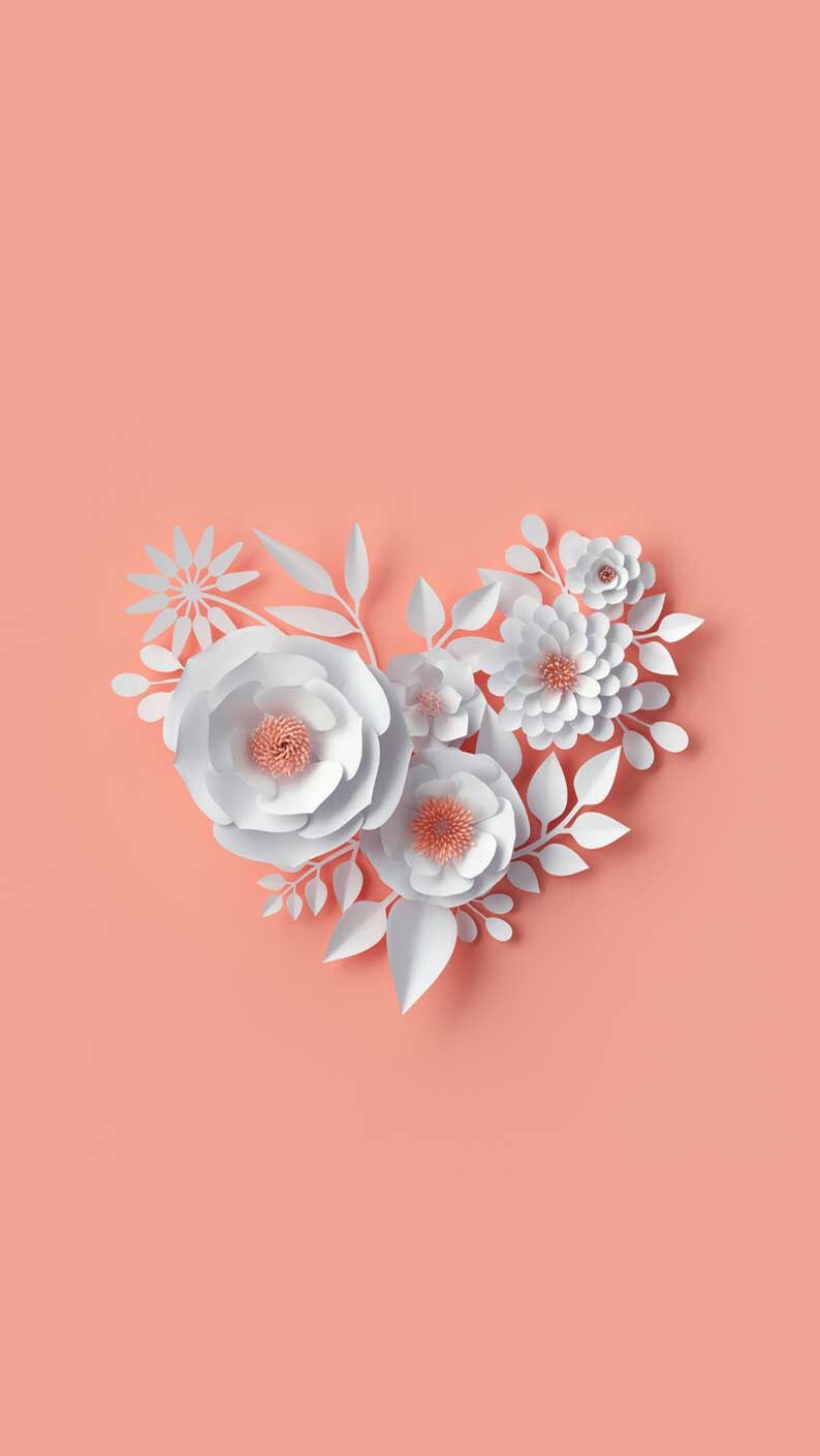 Wallpaper Iphone ⚪ - Beautiful Amazing Good Morning Flowers , HD Wallpaper & Backgrounds