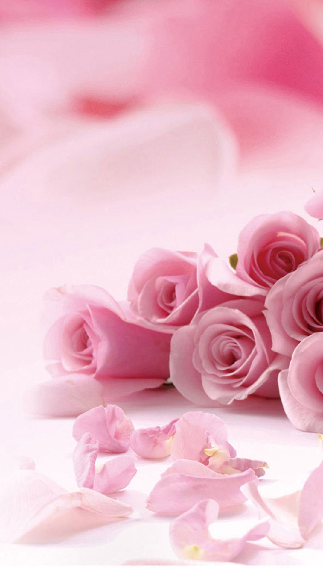 Wallpaper With Pink Roses And Petals For Iphone - Pink Flower Wallpaper Iphone , HD Wallpaper & Backgrounds