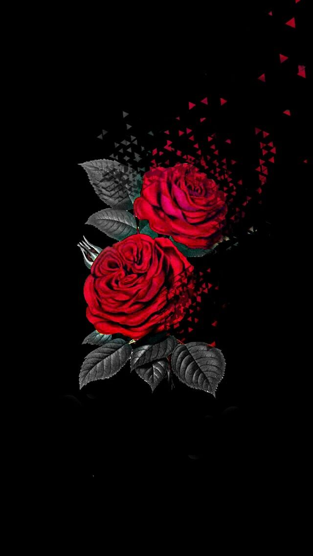 Dark Red Rose Wallpaper Phone , HD Wallpaper & Backgrounds