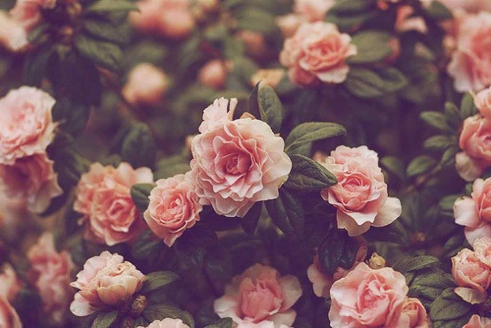 Vintage Flower Background , HD Wallpaper & Backgrounds