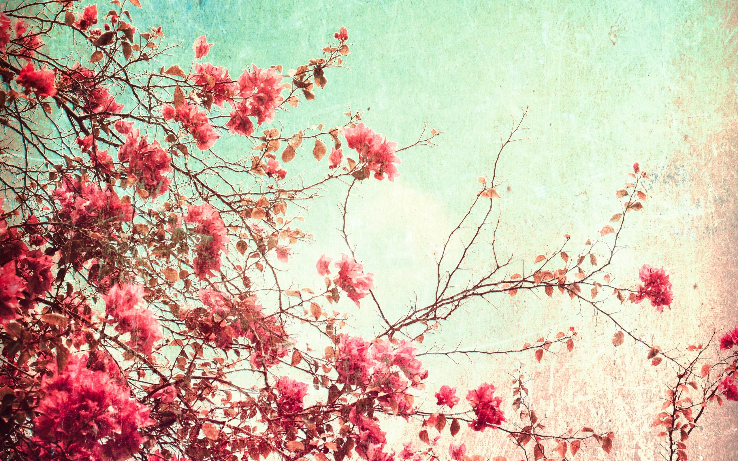 Vintage Wallpapers Tumblr Collection - Vintage Desktop Backgrounds , HD Wallpaper & Backgrounds