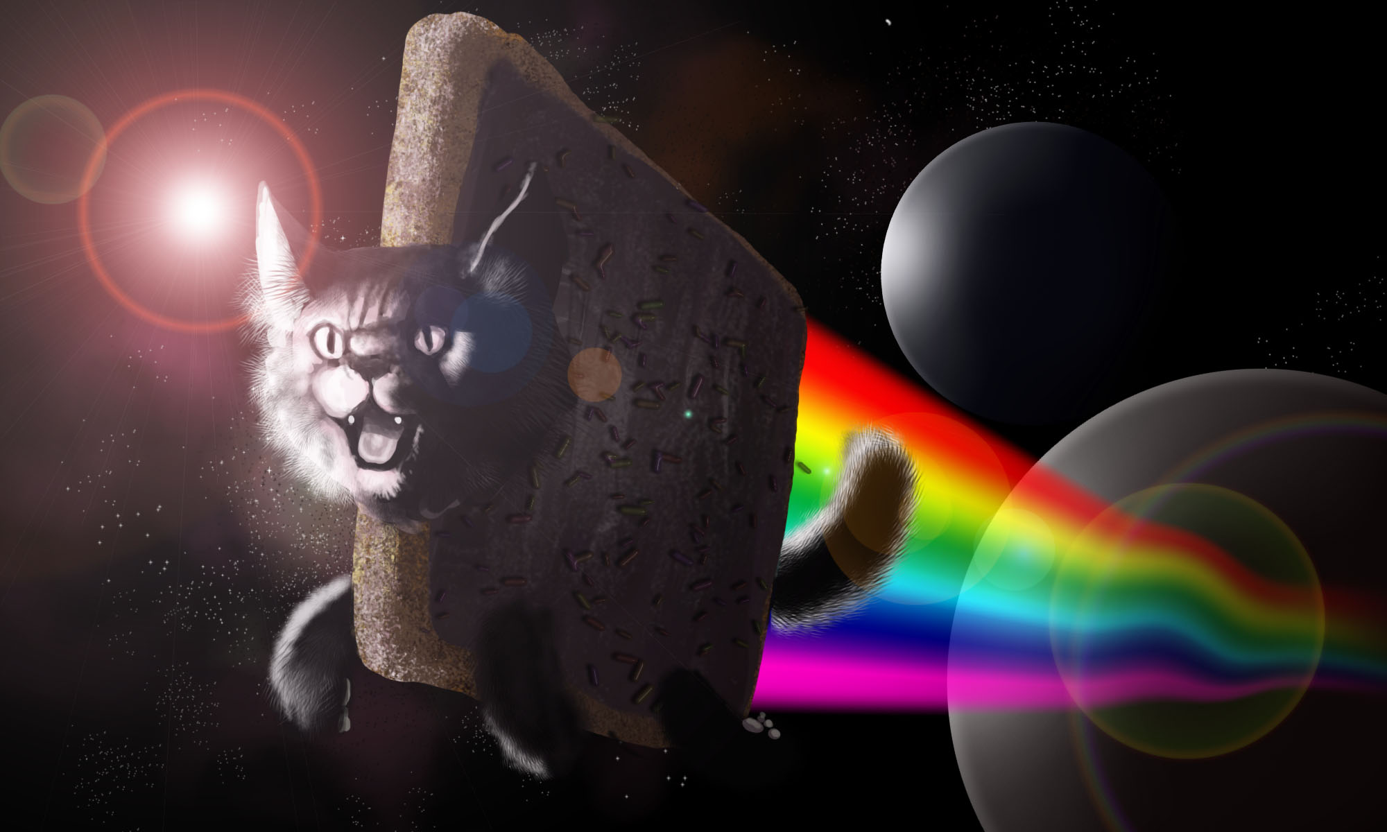 Meme Wallpaper - Nyan Cat , HD Wallpaper & Backgrounds