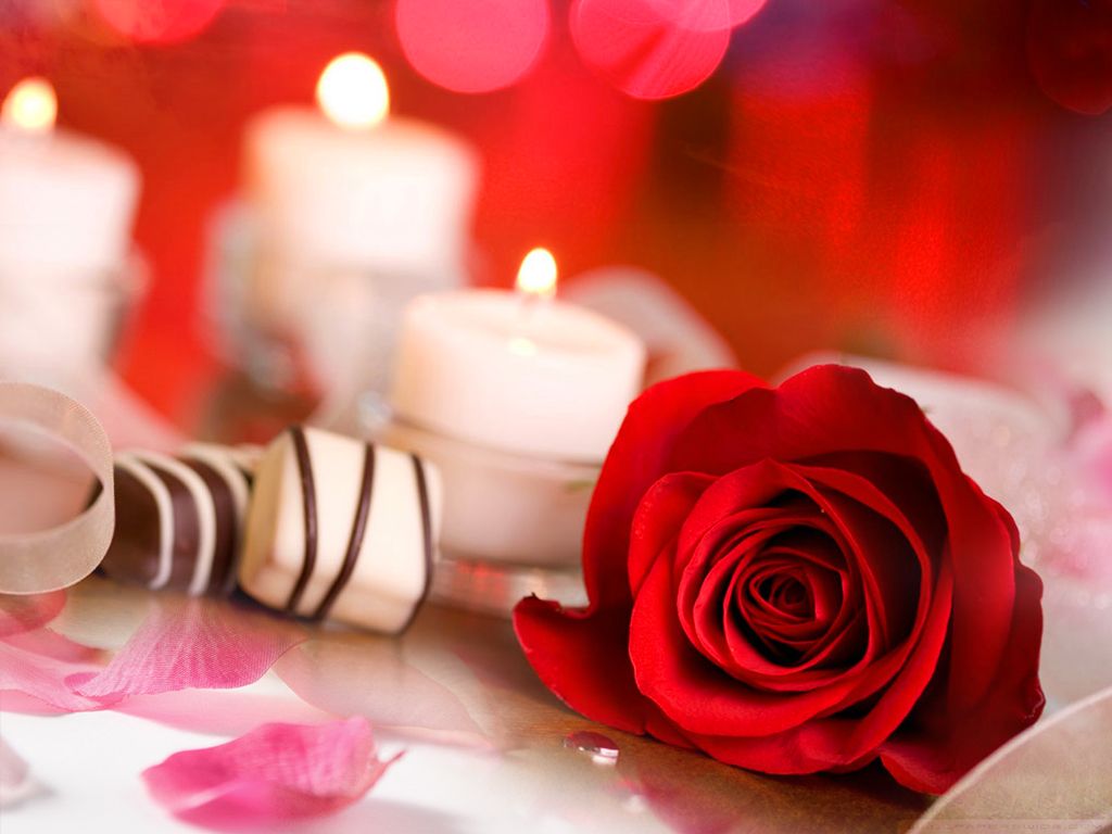 Love Wallpapers Free Download Group - Nice Picture Of Love Download , HD Wallpaper & Backgrounds